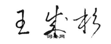 骆恒光王成杉草书个性签名怎么写