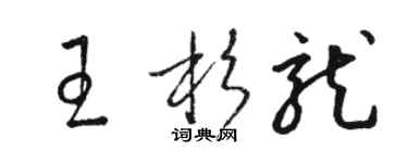 骆恒光王杉龙草书个性签名怎么写