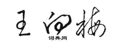 骆恒光王向梅草书个性签名怎么写