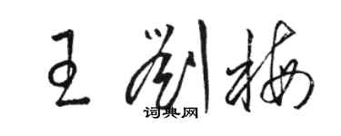 骆恒光王刘梅草书个性签名怎么写