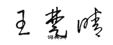 骆恒光王楚晴草书个性签名怎么写