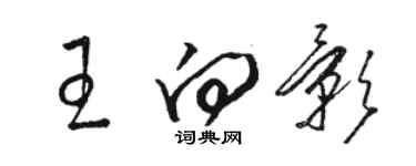 骆恒光王向影草书个性签名怎么写