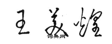 骆恒光王美煌草书个性签名怎么写