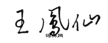 骆恒光王凤仙草书个性签名怎么写