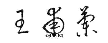 骆恒光王甫兰草书个性签名怎么写