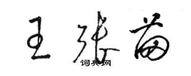 骆恒光王张苗草书个性签名怎么写
