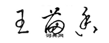 骆恒光王苗香草书个性签名怎么写