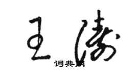 骆恒光王涛草书个性签名怎么写
