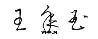 骆恒光王年玉草书个性签名怎么写