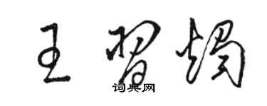 骆恒光王习烛草书个性签名怎么写