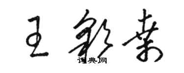 骆恒光王彩桑草书个性签名怎么写