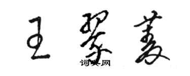 骆恒光王翠菱草书个性签名怎么写