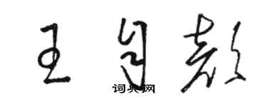 骆恒光王自颜草书个性签名怎么写