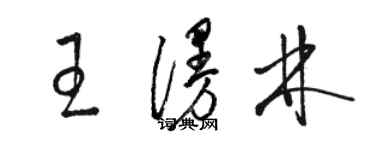 骆恒光王漫林草书个性签名怎么写