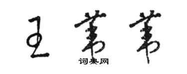 骆恒光王苇苇草书个性签名怎么写
