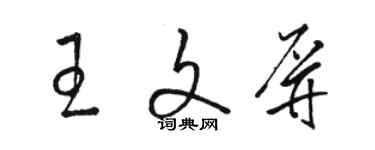 骆恒光王文屏草书个性签名怎么写