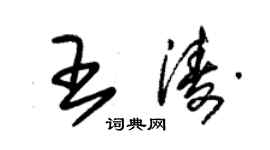 朱锡荣王涛草书个性签名怎么写