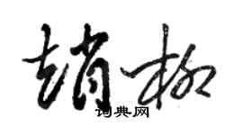 骆恒光赵柳草书个性签名怎么写