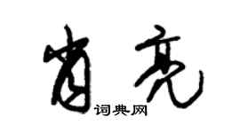 朱锡荣肖亮草书个性签名怎么写