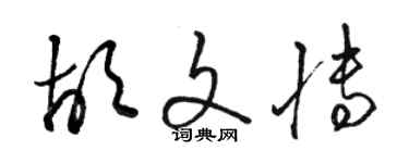 骆恒光胡文博草书个性签名怎么写