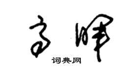 朱锡荣高晖草书个性签名怎么写