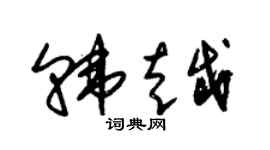 朱锡荣韩越草书个性签名怎么写
