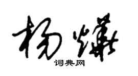 朱锡荣杨烨草书个性签名怎么写