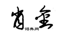 朱锡荣肖金草书个性签名怎么写