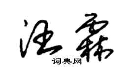 朱锡荣汪霖草书个性签名怎么写