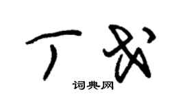 朱锡荣丁戈草书个性签名怎么写