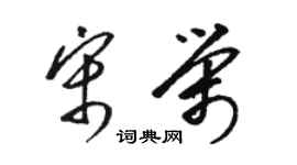 骆恒光宋荣草书个性签名怎么写