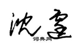 朱锡荣沈霆草书个性签名怎么写