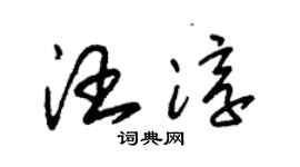 朱锡荣汪淳草书个性签名怎么写