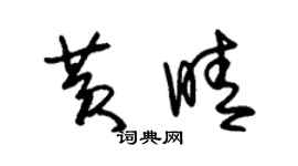 朱锡荣黄晴草书个性签名怎么写