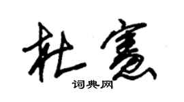 朱锡荣杜宪草书个性签名怎么写