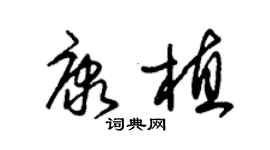 朱锡荣康植草书个性签名怎么写