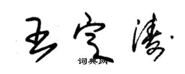 朱锡荣王定涛草书个性签名怎么写