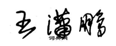 朱锡荣王潇鹏草书个性签名怎么写
