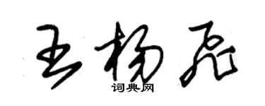 朱锡荣王杨飞草书个性签名怎么写