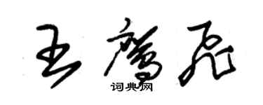 朱锡荣王鹰飞草书个性签名怎么写