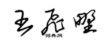 朱锡荣王飞野草书个性签名怎么写