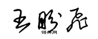 朱锡荣王盼飞草书个性签名怎么写
