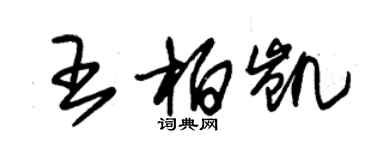 朱锡荣王柏凯草书个性签名怎么写