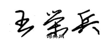 朱锡荣王荣兵草书个性签名怎么写