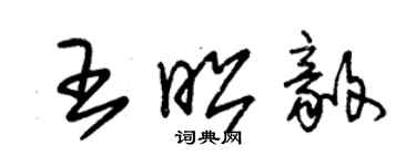 朱锡荣王昭毅草书个性签名怎么写