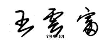 朱锡荣王云富草书个性签名怎么写