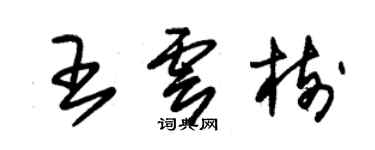朱锡荣王云树草书个性签名怎么写