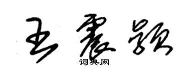 朱锡荣王震颖草书个性签名怎么写