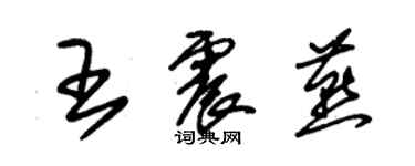朱锡荣王震燕草书个性签名怎么写