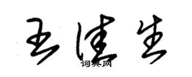朱锡荣王佳生草书个性签名怎么写